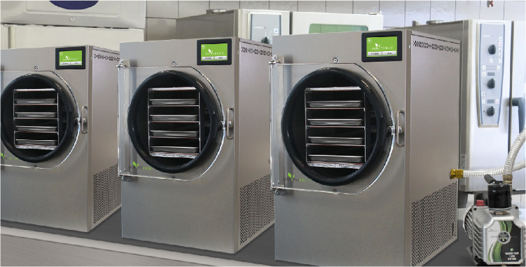 Commercial freeze dryers lined
