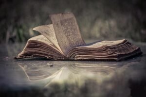 Freeze dried book