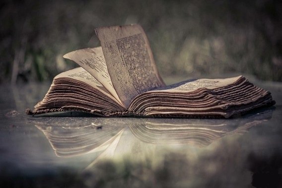 Freeze dried book