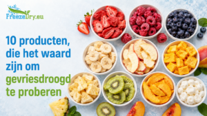 Netherlands freeze drying