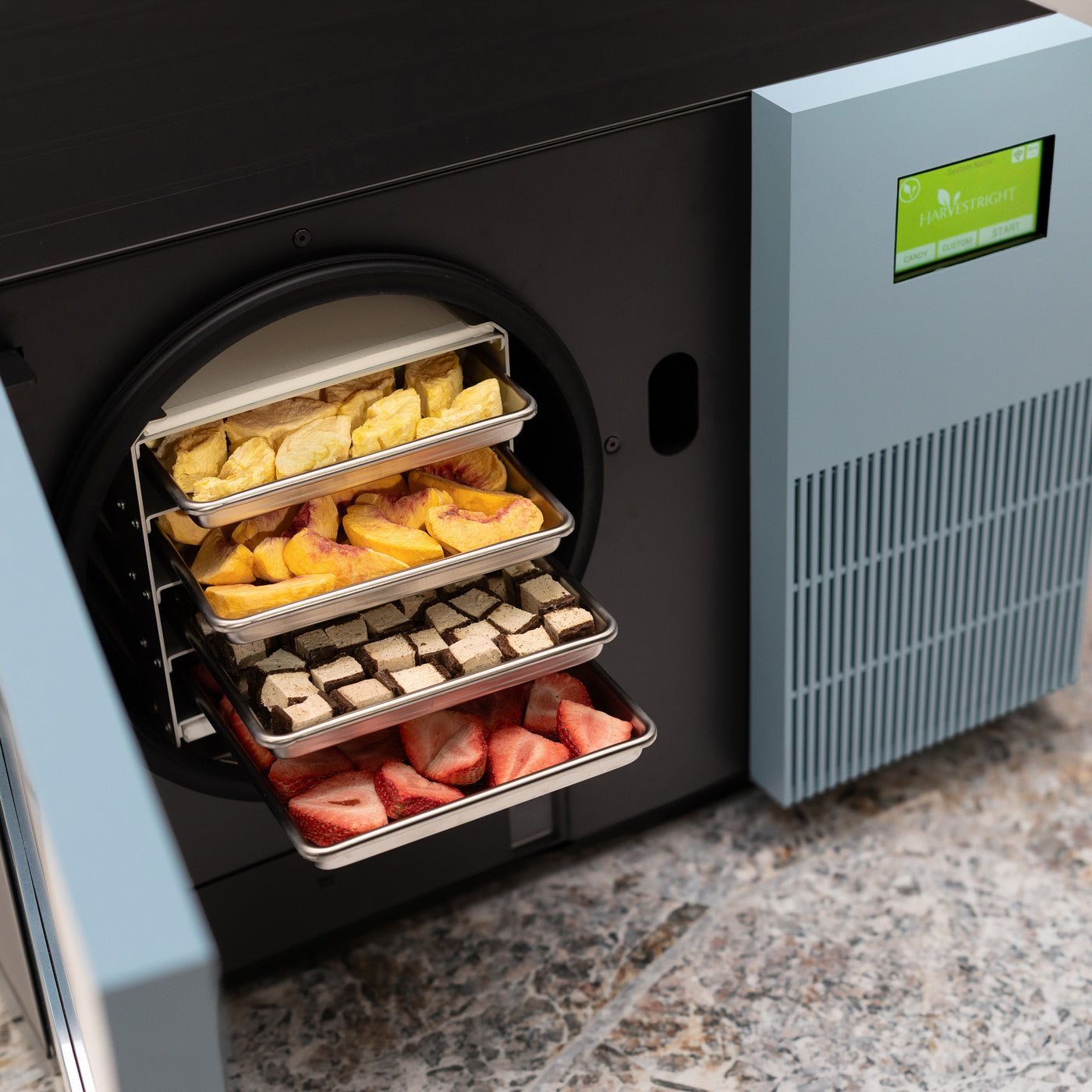 Open door of the Countertop 360 freeze dryer with trays of fruit