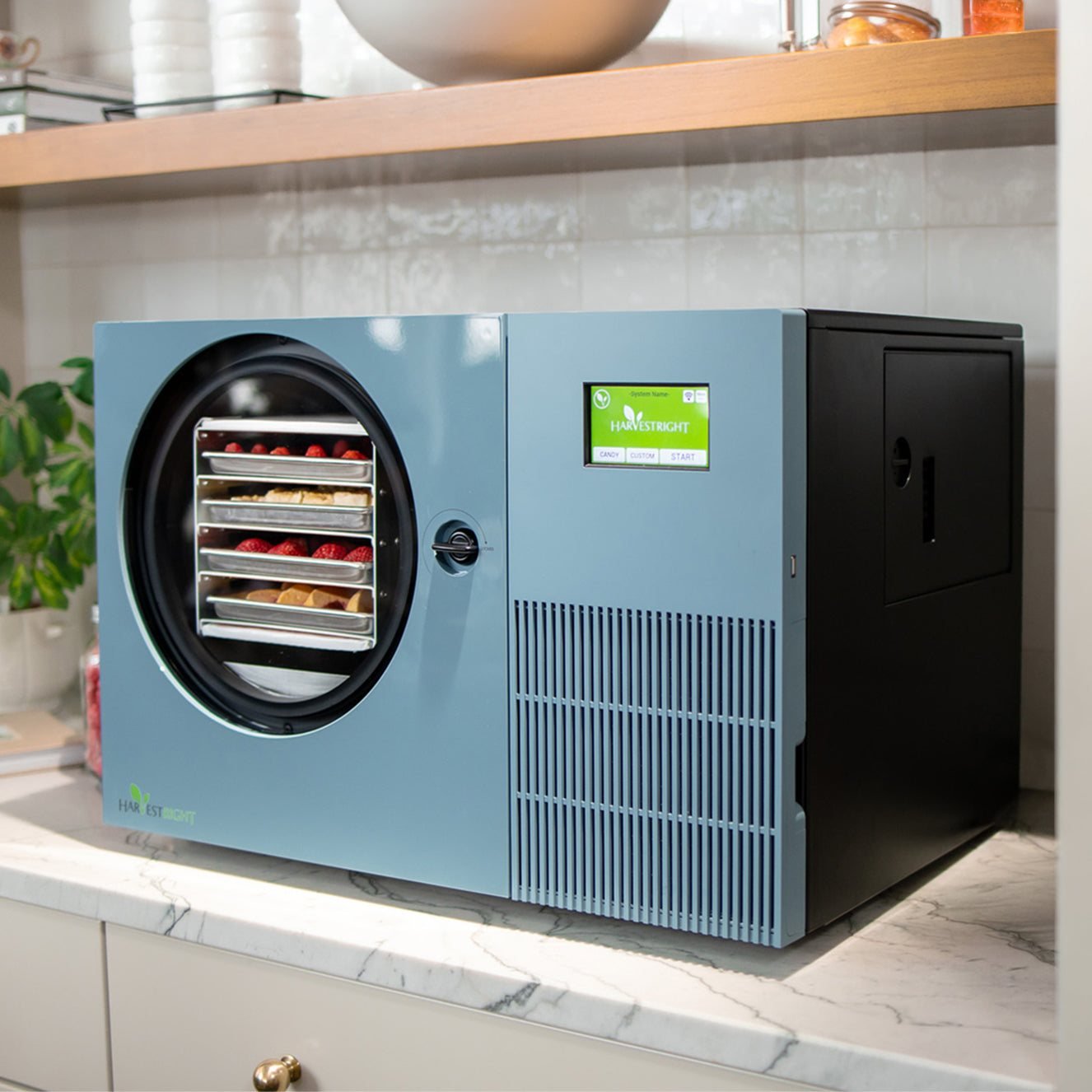 Pale blue Countertop 360 freeze dryer on a kitchen counter