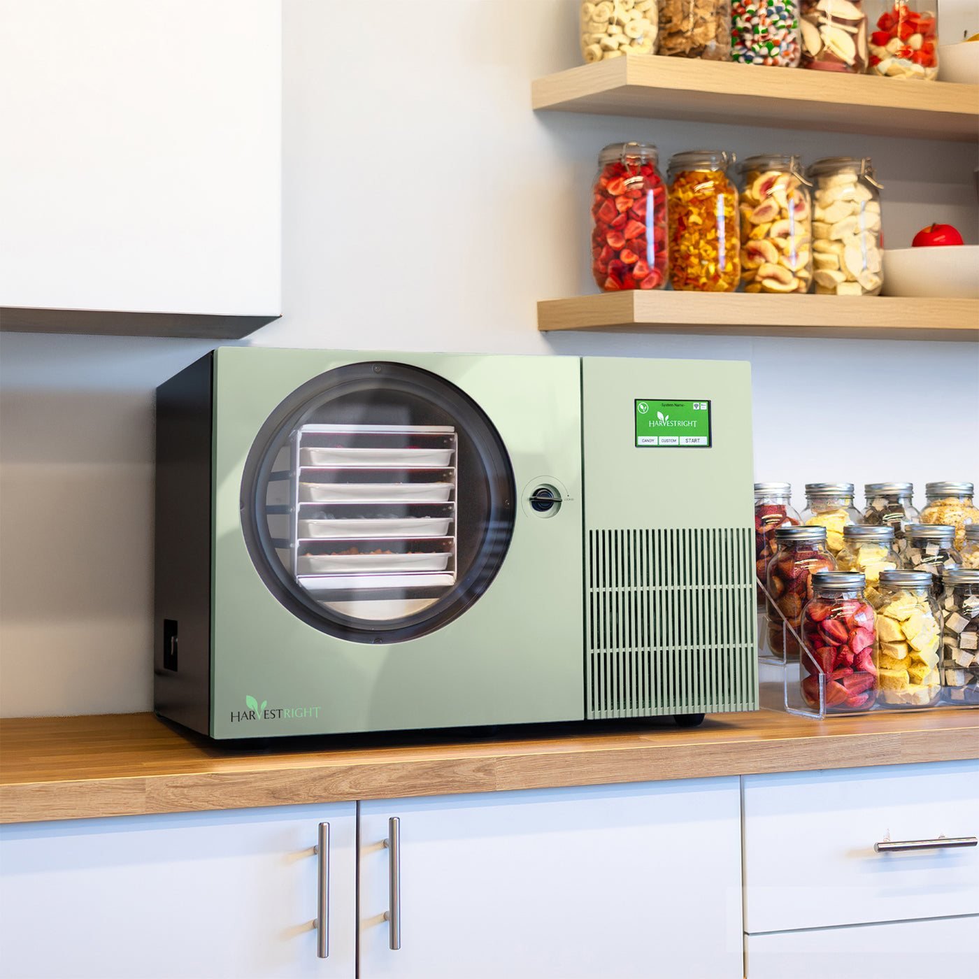 Sage green Countertop 360 freeze dryer in a kitchen